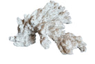 A wide, branching white coral sculpture with a thick central base and flattened, fan-like extensions. The texture is porous and rough, featuring jagged edges and irregular, bumpy ridges across its surface.