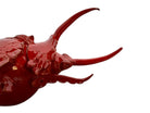 A handcrafted ceramic sculpture of a rhinoceros beetle by Enza Fasano, featuring a vibrant, glossy deep-red glaze. The piece is stylized with smooth, rounded contours and prominent, elegant horns extending forward. Its surface reflects light, highlighting the rich texture and artisanal detail of the clay.