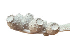 A white, glazed ceramic platter in the shape of a prickly pear cactus pad with attached prickly pear fruit. The surface has raised dots representing spines. 