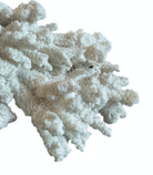 A wide, branching white coral sculpture with a thick central base and flattened, fan-like extensions. The texture is porous and rough, featuring jagged edges and irregular, bumpy ridges across its surface.