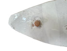 A white, glazed ceramic platter in the shape of a prickly pear cactus pad with attached prickly pear fruit. The surface has raised dots representing spines. 