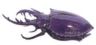 A glossy, deep purple ceramic sculpture of a beetle by Enza Fasano. The piece features a highly stylized and ornate design, blending insect-like anatomy with fantastical elements. It has a smooth, rounded shell and elongated, curved mandibles and appendages lined with sharp, thorn-like protrusions. The monochromatic glaze is reflective, highlighting the intricate sculptural details and textures of the avant-garde artwork.