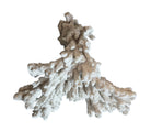 A wide, branching white coral sculpture with a thick central base and flattened, fan-like extensions. The texture is porous and rough, featuring jagged edges and irregular, bumpy ridges across its surface.