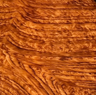 An ornate Art Deco serving tray featuring a highly figured burlwood center and silver-plated handles and rim