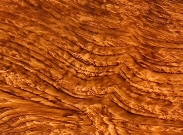 An ornate Art Deco serving tray featuring a highly figured burlwood center and silver-plated handles and rim