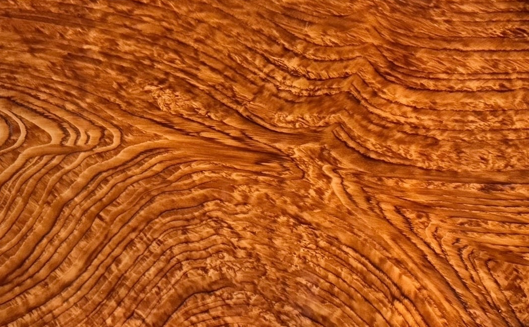 An ornate Art Deco serving tray featuring a highly figured burlwood center and silver-plated handles and rim