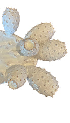 A white glazed ceramic platter in the shape of a prickly pear cactus pad with attached prickly pear fruit. The surface has raised dots representing spines