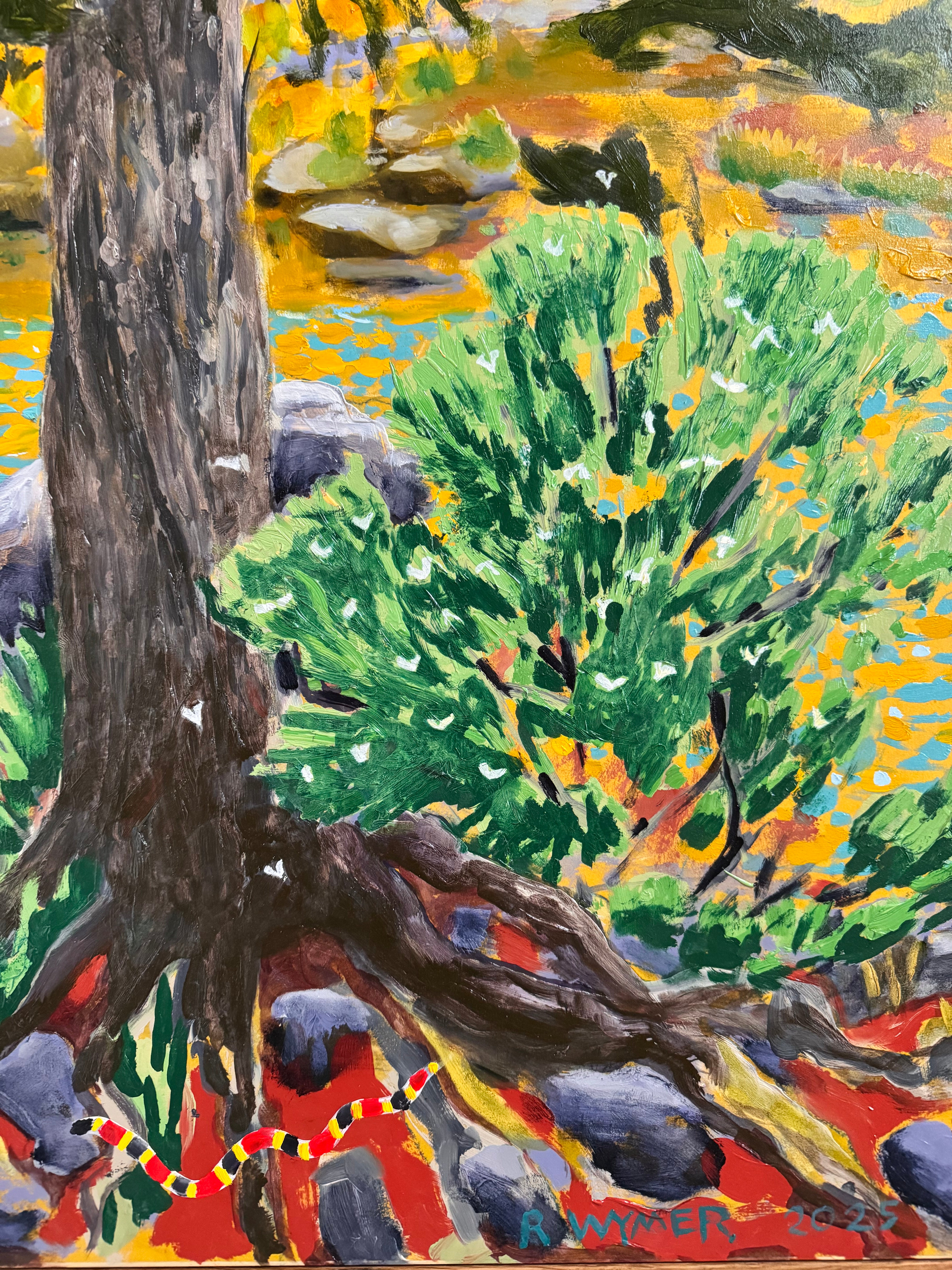 A vibrantly colored landscape painting titled 'Perdernales Falls Fisherman,' featuring two large trees with prominent exposed roots framing a body of water. A lone figure, a fisherman, stands by the water in the middle ground. The painting uses bold strokes of yellow, green, red, and blue, and is enclosed in a rustic dark wooden frame with a light-colored inner mat.