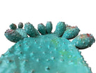 A green and red, glazed ceramic platter in the shape of a prickly pear cactus pad with attached prickly pear fruit. The surface has raised dots representing spines. 