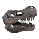 a pair of matching Tyrannosaurus Rex skull sculptures facing inward toward each other against a solid white background. The resin or stone-like replicas are realistically detailed with a weathered, dark gray and brownish-rust finish. Both skulls are sculpted with their jaws wide open, showcasing rows of sharp, pointed teeth with stained orange and brown tips. The skull on the left is angled slightly to the right, and the skull on the right is angled slightly to the left, creating a symmetrical presentation.