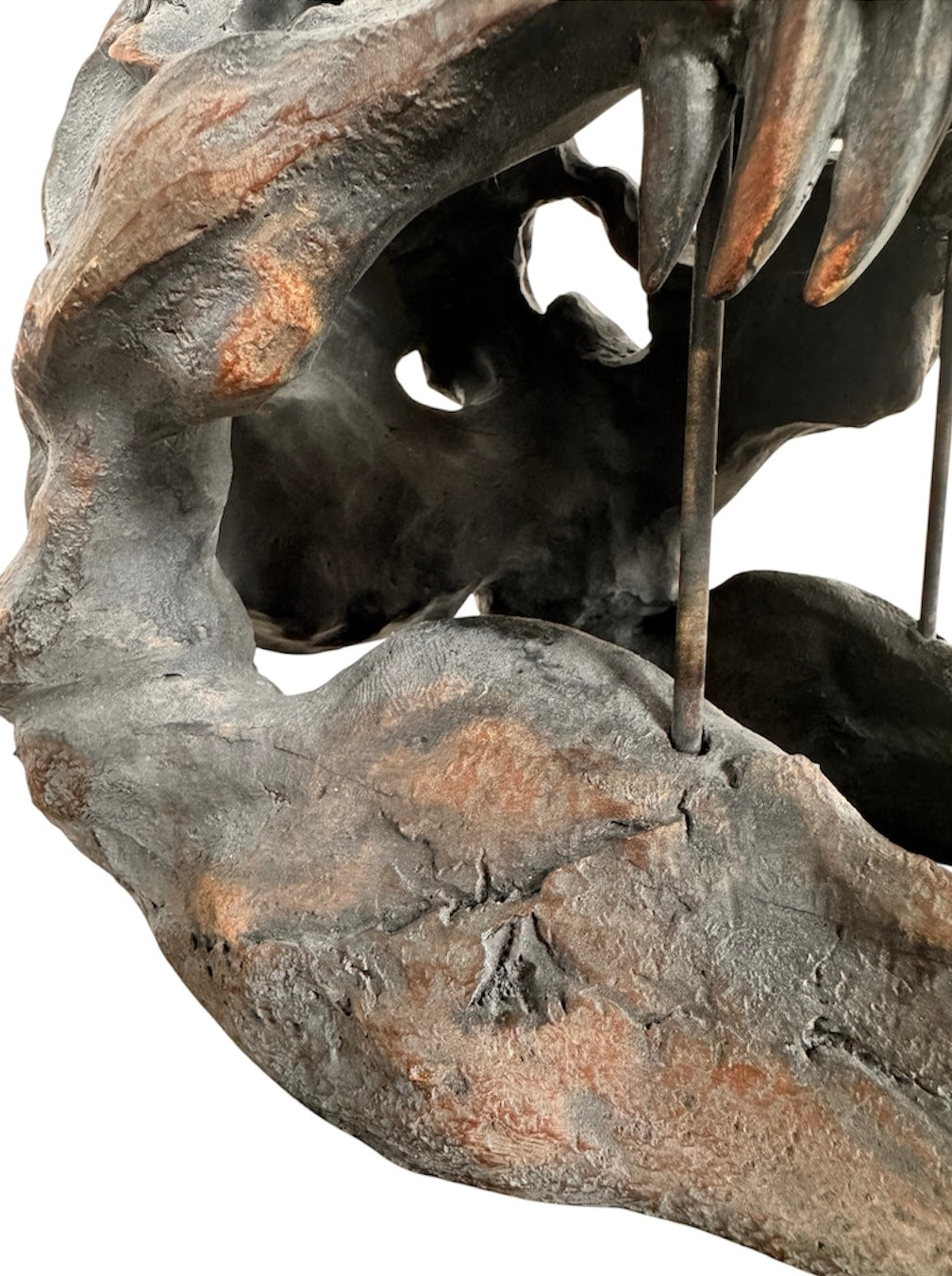 a pair of matching Tyrannosaurus Rex skull sculptures facing inward toward each other against a solid white background. The resin or stone-like replicas are realistically detailed with a weathered, dark gray and brownish-rust finish. Both skulls are sculpted with their jaws wide open, showcasing rows of sharp, pointed teeth with stained orange and brown tips. The skull on the left is angled slightly to the right, and the skull on the right is angled slightly to the left, creating a symmetrical presentation.