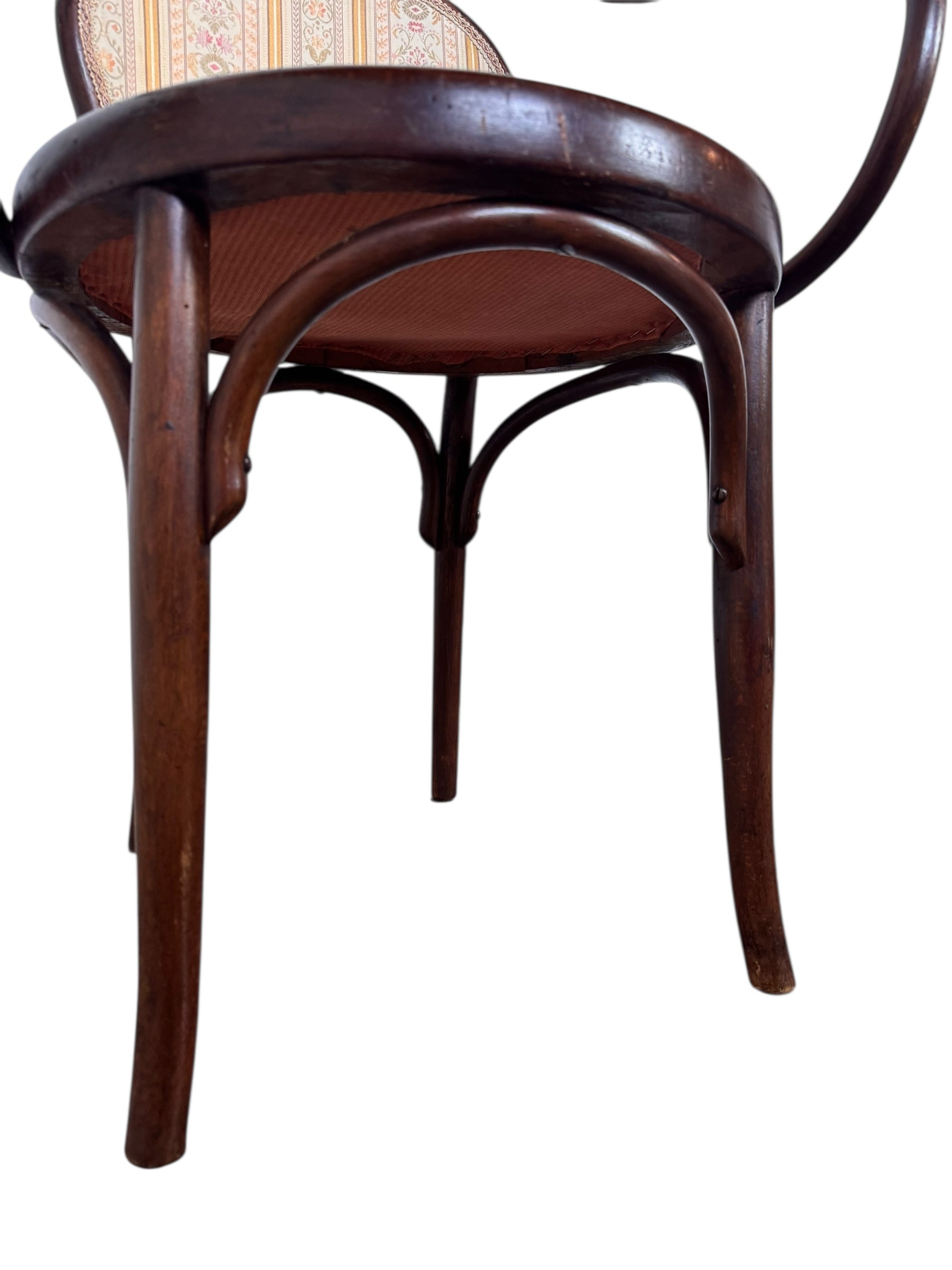 Bentwood & Upholstered chairs with looping arms, backrest rail and under-seat supports with steam-bending beechwood