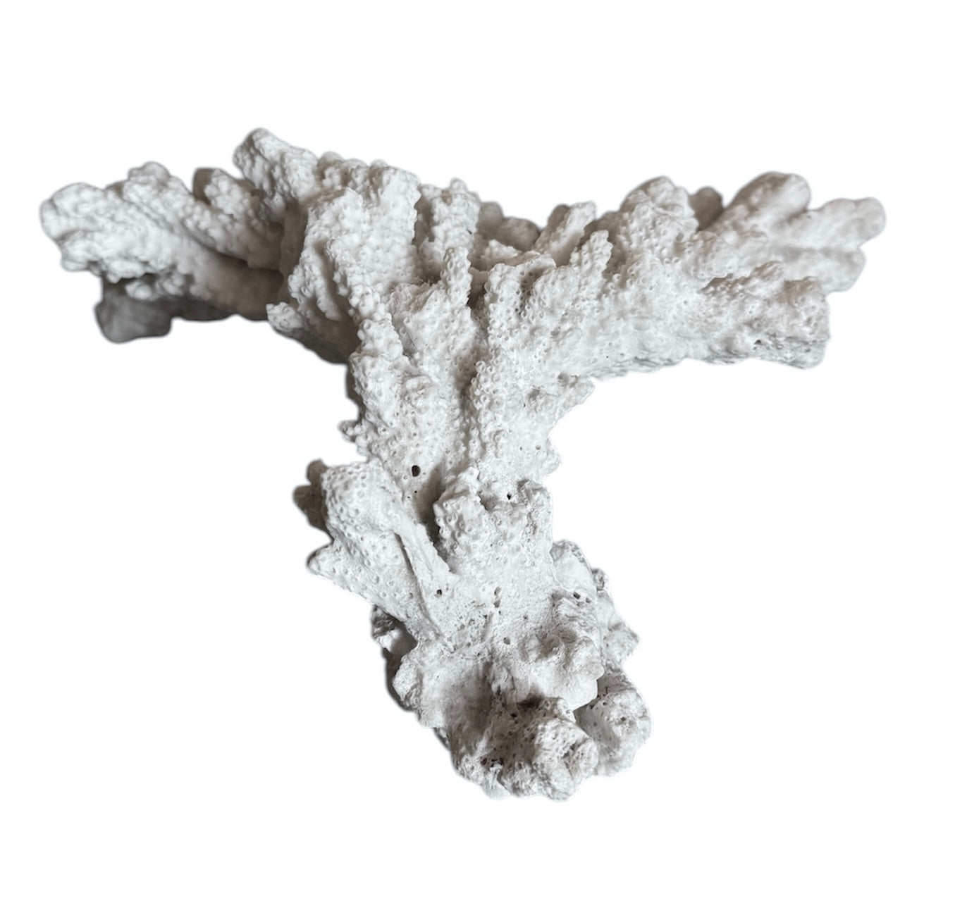 A wide, branching white coral sculpture with a thick central base and flattened, fan-like extensions. The texture is porous and rough, featuring jagged edges and irregular, bumpy ridges across its surface.