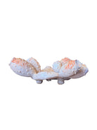 A white and orange, glazed ceramic platter in the shape of a prickly pear cactus pad with attached prickly pear fruit. The surface has raised dots representing spines. 