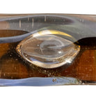 An asymmetrical Murano art glass sculpture with a heavy, biomorphic form. The piece is composed of thick, translucent smoky-amber glass with abstract, fluid bands of deep blue and dark brown swirling throughout the upper rim and sides. A dense pattern of tiny, controlled air bubbles is suspended inside the glass, concentrating heavily near the thick, solid amber base.