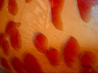 A hand-blown Italian Murano glass vase featuring a wide, bulbous body and a short, flared rim. The glass is a vibrant, translucent amber-orange base decorated with an organic "macchia" or spotted pattern of deep ruby red blotches. The red spots are elongated and vertical near the neck, becoming larger and more rounded toward the base. The surface has a high-gloss, reflective finish, showcasing mid-century modern craftsmanship.
