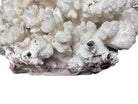 A rounded, cauliflower-like coral sculpture in an off-white hue. It consists of several tightly packed, bulbous lobes with a highly granular, pebbled texture that creates a soft, cloud-like appearance.