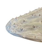 A white glazed ceramic platter in the shape of a prickly pear cactus pad with attached prickly pear fruit. The surface has raised dots representing spines