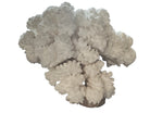 A dense, mounded white coral sculpture with a heavy, cauliflower-style growth pattern. The lobes are closely bunched together, covered in tiny, uniform bumps that give the piece a fuzzy or frosted visual texture.