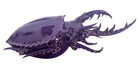 A glossy, deep purple ceramic sculpture of a beetle by Enza Fasano. The piece features a highly stylized and ornate design, blending insect-like anatomy with fantastical elements. It has a smooth, rounded shell and elongated, curved mandibles and appendages lined with sharp, thorn-like protrusions. The monochromatic glaze is reflective, highlighting the intricate sculptural details and textures of the avant-garde artwork.