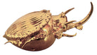 A handcrafted ceramic sculpture of a rhinoceros beetle by Enza Fasano, featuring a brilliant, high-gloss gold metallic finish. The beetle is captured in a dynamic, slightly upturned pose with detailed textures on its ribbed shell and prominent, curved horns. The piece reflects light across its polished surface, showcasing the artist’s signature fusion of traditional Pugliese pottery and contemporary luxury.