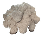 A dense, mounded white coral sculpture with a heavy, cauliflower-style growth pattern. The lobes are closely bunched together, covered in tiny, uniform bumps that give the piece a fuzzy or frosted visual texture.