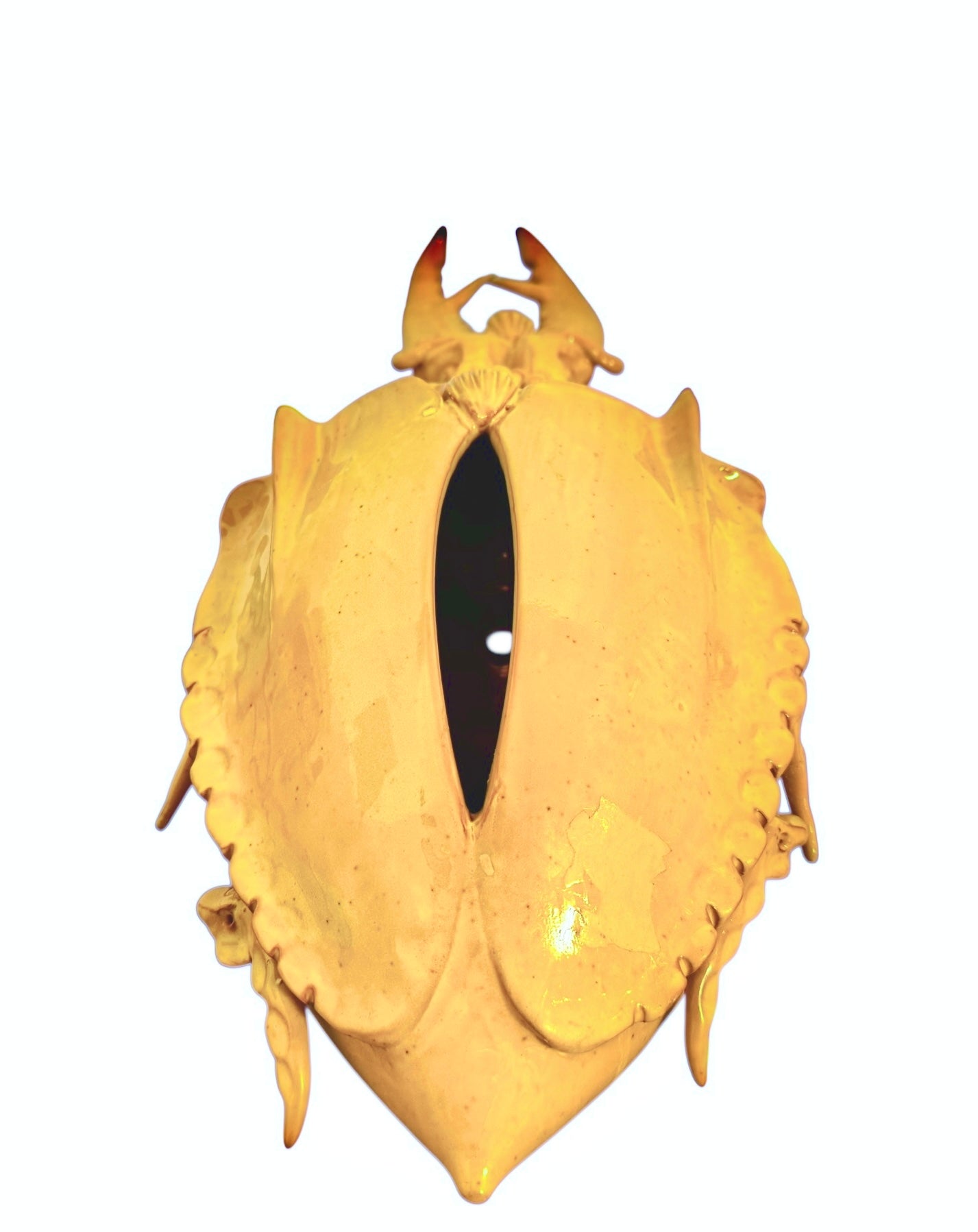 a large, high-gloss ceramic sculpture by Enza Fasano, shaped like a stylized beetle. The entire piece is finished in a warm, honey-yellow glaze. The beetle features prominent, curved mandibles at the front, a textured "collar" area, and a rounded, shell-like body with decorative ridges along the edges. The surface is smooth and reflective, catching the light across its organic contours.