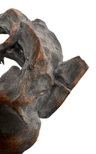 a pair of matching Tyrannosaurus Rex skull sculptures facing inward toward each other against a solid white background. The resin or stone-like replicas are realistically detailed with a weathered, dark gray and brownish-rust finish. Both skulls are sculpted with their jaws wide open, showcasing rows of sharp, pointed teeth with stained orange and brown tips. The skull on the left is angled slightly to the right, and the skull on the right is angled slightly to the left, creating a symmetrical presentation.