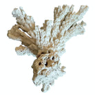 A wide, branching white coral sculpture with a thick central base and flattened, fan-like extensions. The texture is porous and rough, featuring jagged edges and irregular, bumpy ridges across its surface.