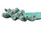 A green and red, glazed ceramic platter in the shape of a prickly pear cactus pad with attached prickly pear fruit. The surface has raised dots representing spines. 