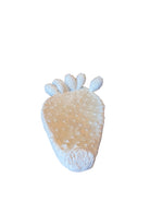 A white, glazed ceramic platter in the shape of a prickly pear cactus pad with attached prickly pear fruit. The surface has raised dots representing spines. 