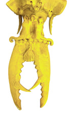 a large, high-gloss ceramic sculpture by Enza Fasano, shaped like a stylized beetle. The entire piece is finished in a warm, honey-yellow glaze. The beetle features prominent, curved mandibles at the front, a textured "collar" area, and a rounded, shell-like body with decorative ridges along the edges. The surface is smooth and reflective, catching the light across its organic contours.