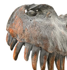 a pair of matching Tyrannosaurus Rex skull sculptures facing inward toward each other against a solid white background. The resin or stone-like replicas are realistically detailed with a weathered, dark gray and brownish-rust finish. Both skulls are sculpted with their jaws wide open, showcasing rows of sharp, pointed teeth with stained orange and brown tips. The skull on the left is angled slightly to the right, and the skull on the right is angled slightly to the left, creating a symmetrical presentation.