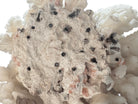 A dense, mounded white coral sculpture with a heavy, cauliflower-style growth pattern. The lobes are closely bunched together, covered in tiny, uniform bumps that give the piece a fuzzy or frosted visual texture.