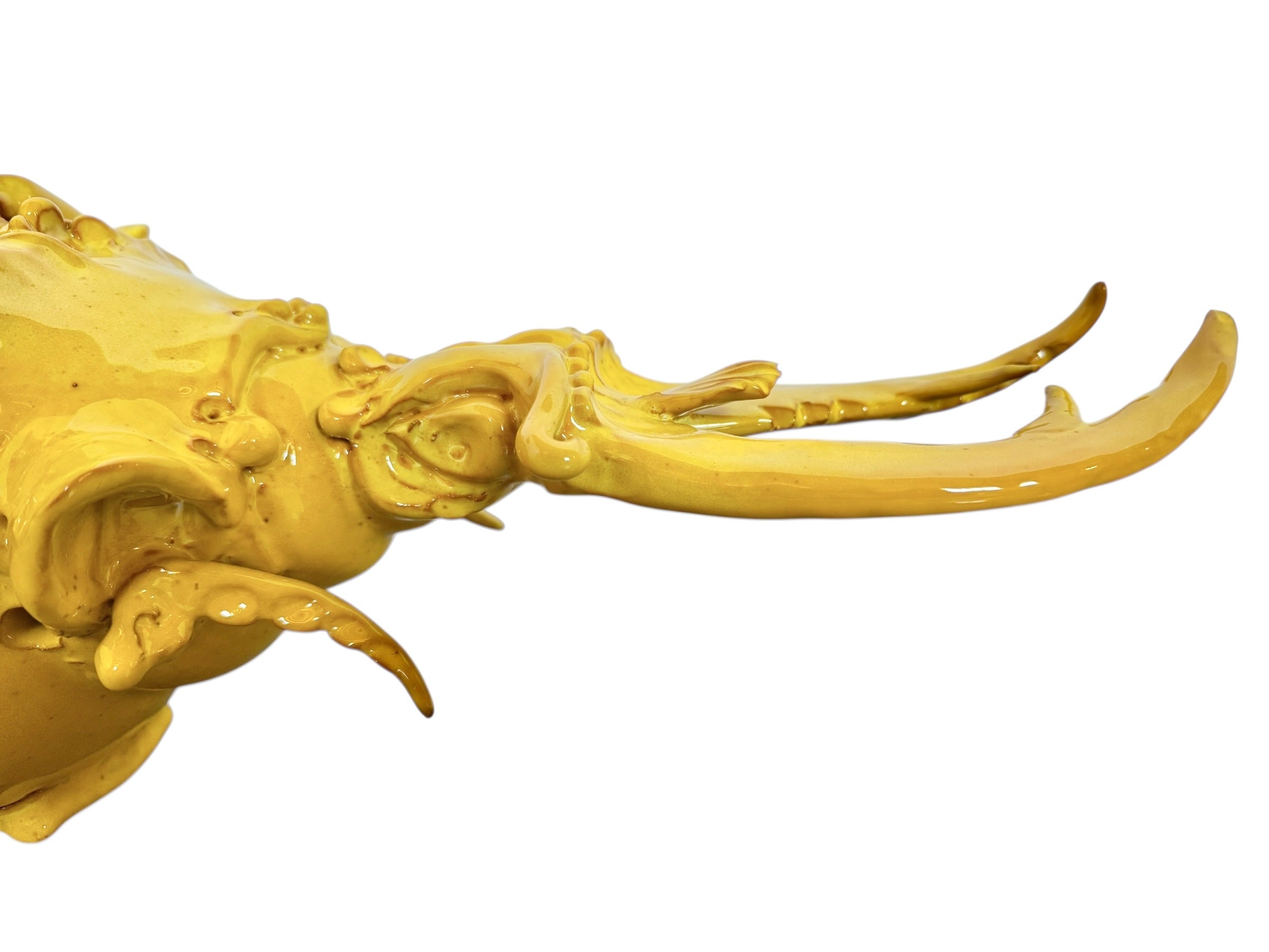 a large, high-gloss ceramic sculpture by Enza Fasano, shaped like a stylized beetle. The entire piece is finished in a warm, honey-yellow glaze. The beetle features prominent, curved mandibles at the front, a textured "collar" area, and a rounded, shell-like body with decorative ridges along the edges. The surface is smooth and reflective, catching the light across its organic contours.
