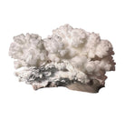 A small, delicate white coral sculpture with a cluster of short, upright branches. The structure is asymmetrical and intricate, featuring a porous, sponge-like surface texture and a jagged, irregular base.