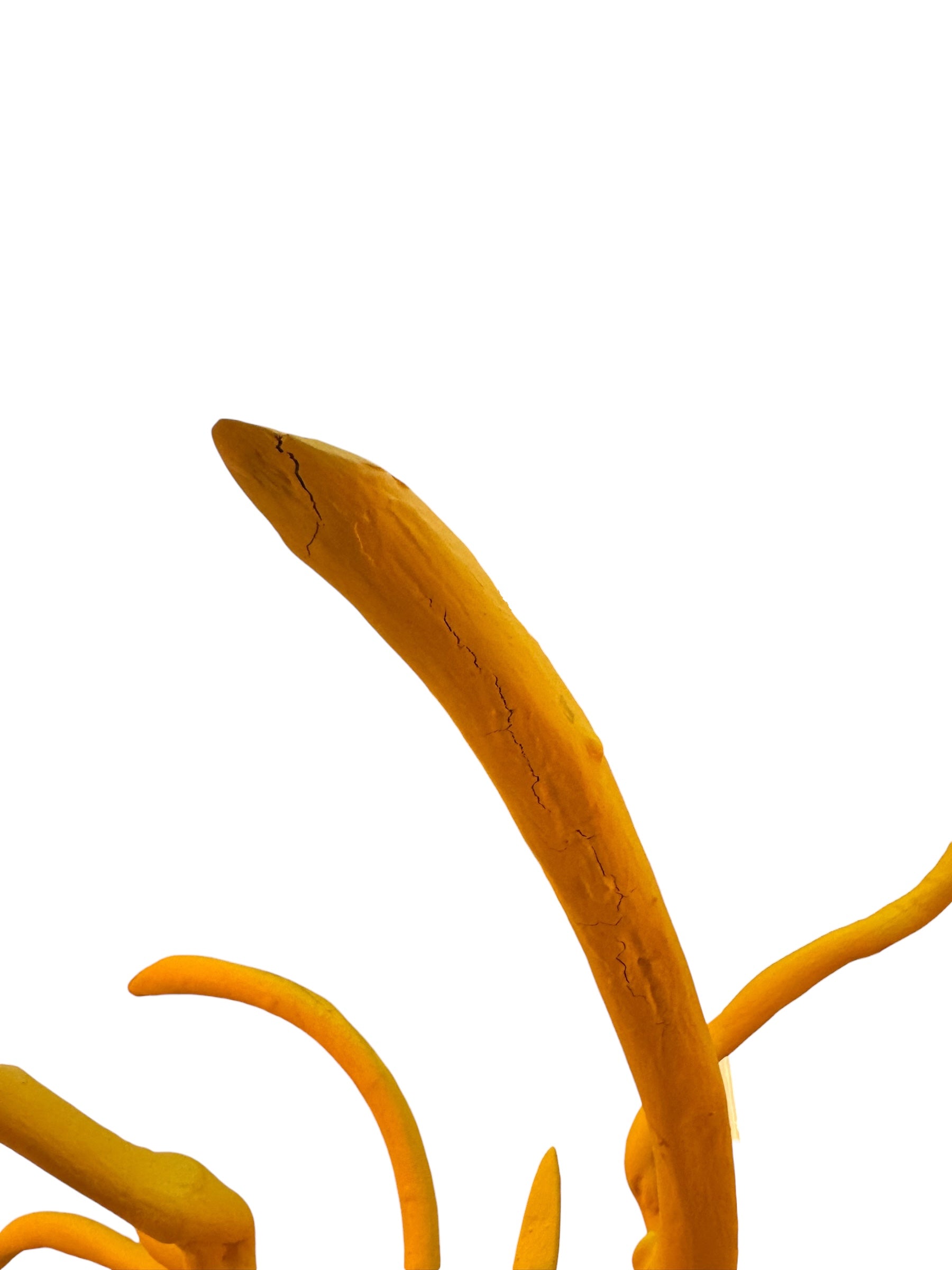 A bright yellow abstract sculpture depicting a calamari with a thick base and several thin, curving, branch-like extensions.