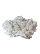 A small, delicate white coral sculpture with a cluster of short, upright branches. The structure is asymmetrical and intricate, featuring a porous, sponge-like surface texture and a jagged, irregular base.