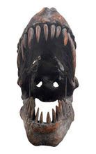a pair of matching Tyrannosaurus Rex skull sculptures facing inward toward each other against a solid white background. The resin or stone-like replicas are realistically detailed with a weathered, dark gray and brownish-rust finish. Both skulls are sculpted with their jaws wide open, showcasing rows of sharp, pointed teeth with stained orange and brown tips. The skull on the left is angled slightly to the right, and the skull on the right is angled slightly to the left, creating a symmetrical presentation.