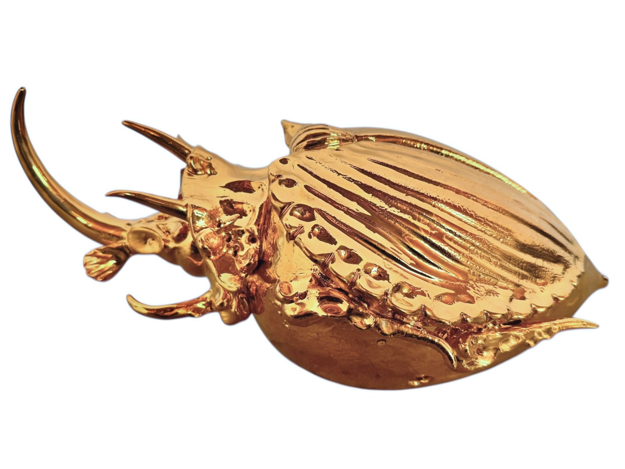 A handcrafted ceramic sculpture of a rhinoceros beetle by Enza Fasano, featuring a brilliant, high-gloss gold metallic finish. The beetle is captured in a dynamic, slightly upturned pose with detailed textures on its ribbed shell and prominent, curved horns. The piece reflects light across its polished surface, showcasing the artist’s signature fusion of traditional Pugliese pottery and contemporary luxury.