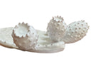 A white, glazed ceramic platter in the shape of a prickly pear cactus pad with attached prickly pear fruit. The surface has raised dots representing spines. 