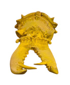 a large, high-gloss ceramic sculpture by Enza Fasano, shaped like a stylized beetle. The entire piece is finished in a warm, honey-yellow glaze. The beetle features prominent, curved mandibles at the front, a textured "collar" area, and a rounded, shell-like body with decorative ridges along the edges. The surface is smooth and reflective, catching the light across its organic contours.