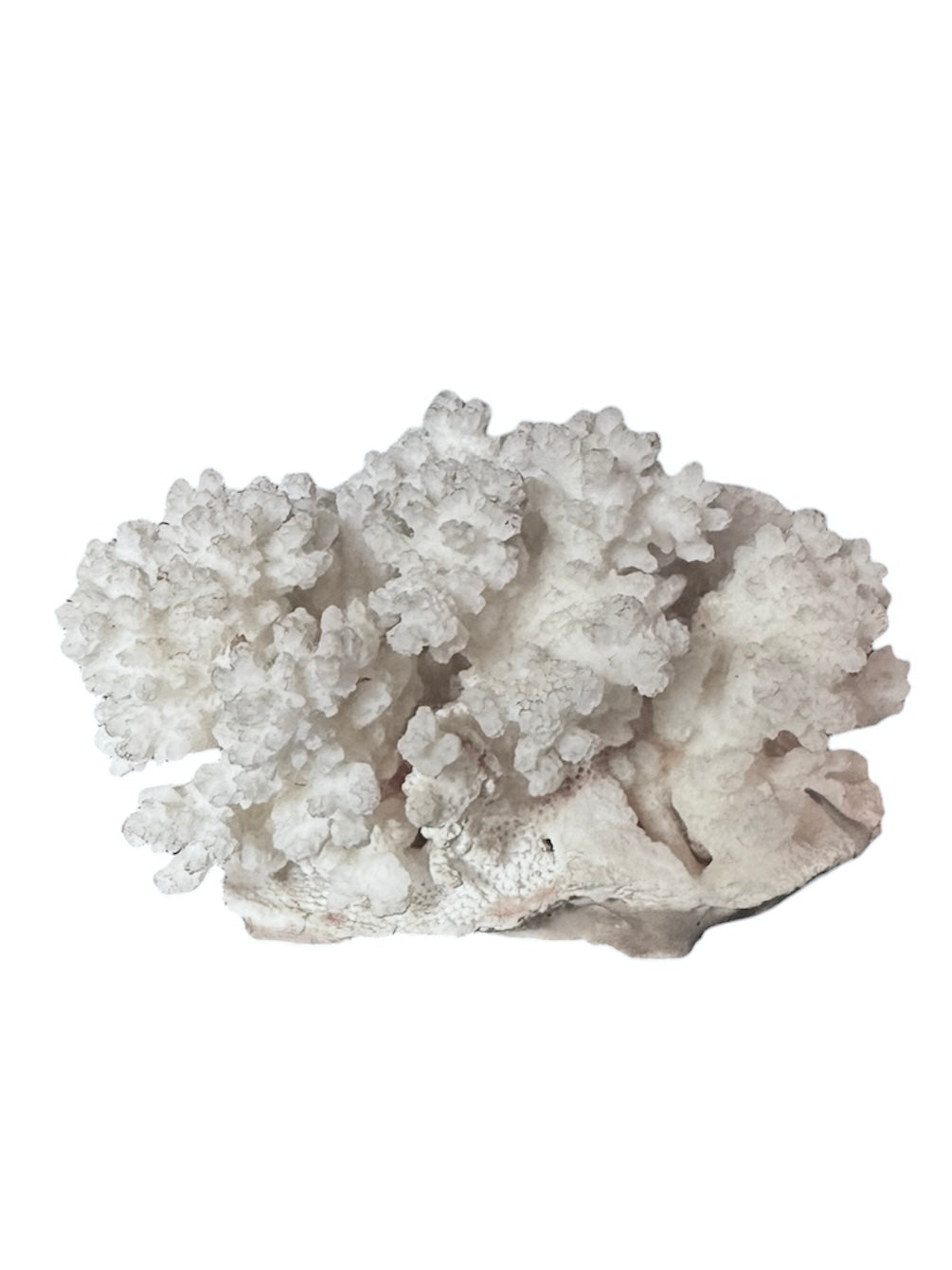 A small, delicate white coral sculpture with a cluster of short, upright branches. The structure is asymmetrical and intricate, featuring a porous, sponge-like surface texture and a jagged, irregular base.