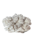 A small, delicate white coral sculpture with a cluster of short, upright branches. The structure is asymmetrical and intricate, featuring a porous, sponge-like surface texture and a jagged, irregular base.