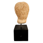 An ancient marble sculpted head of a young man, presented on a modern black presentation stand. The sculpture is rendered in a three-quarter view, angled slightly to the right, showing a classical profile characterized by a strong nose, softly contoured cheekbones, and slightly parted lips that convey a quiet, contemplative expression. The hair is carved in short, stylized strands that frame the forehead and ears, characteristic of ancient Roman or Greek portraiture styles.