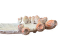 A white and orange, glazed ceramic platter in the shape of a prickly pear cactus pad with attached prickly pear fruit. The surface has raised dots representing spines. 