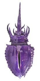 A glossy, deep purple ceramic sculpture of a beetle by Enza Fasano. The piece features a highly stylized and ornate design, blending insect-like anatomy with fantastical elements. It has a smooth, rounded shell and elongated, curved mandibles and appendages lined with sharp, thorn-like protrusions. The monochromatic glaze is reflective, highlighting the intricate sculptural details and textures of the avant-garde artwork.