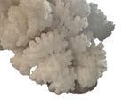 A dense, mounded white coral sculpture with a heavy, cauliflower-style growth pattern. The lobes are closely bunched together, covered in tiny, uniform bumps that give the piece a fuzzy or frosted visual texture.
