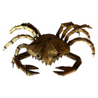 Table Top

steel crab

sea creatures

Sculpture Attributed Daniël d'Haeseleer

Sculpture

sculptural

Metal

marine life

made of steel

Gilt-Metal Crab Sculpture Attributed Daniël d'Haeseleer

Gilt-Metal Crab Sculpture

gilt metal crab
gilt metal crab austin
gilt metal

Gilt

Daniël d'Haeseleer

crab sculpture austin

crab sculpture

crab

coastal

brutalist crab

Brutalist

Belgium

