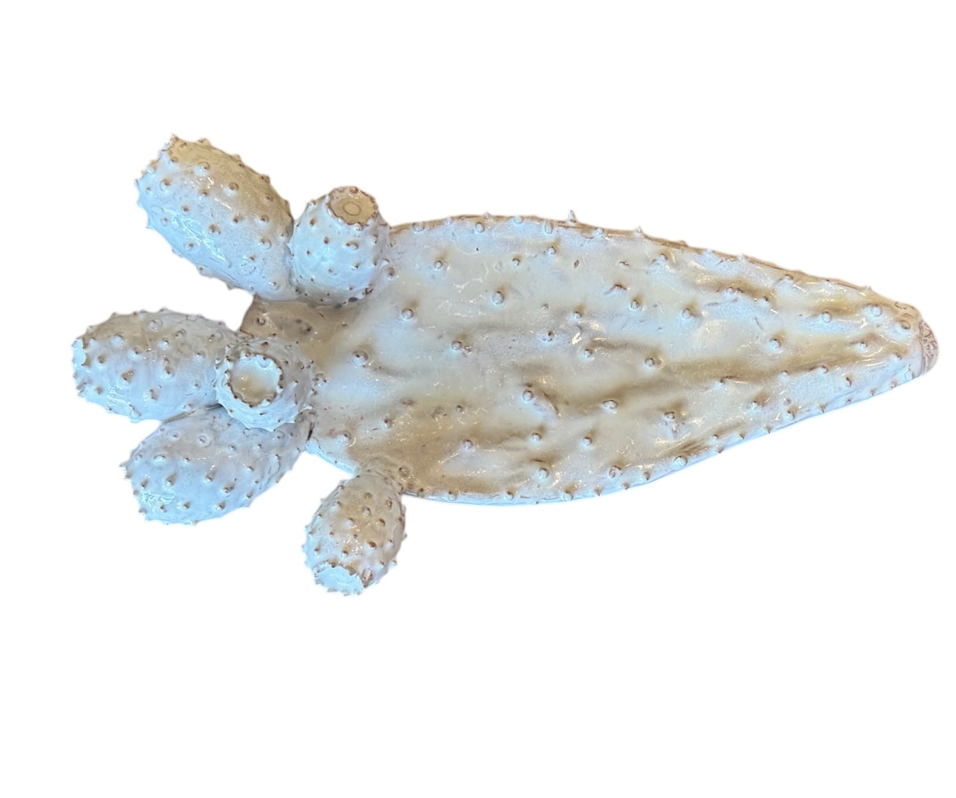 A white glazed ceramic platter in the shape of a prickly pear cactus pad with attached prickly pear fruit. The surface has raised dots representing spines.

Handmade Diminutive White Cactus Platter - Italian Design by Enza Fasano Ceramiche